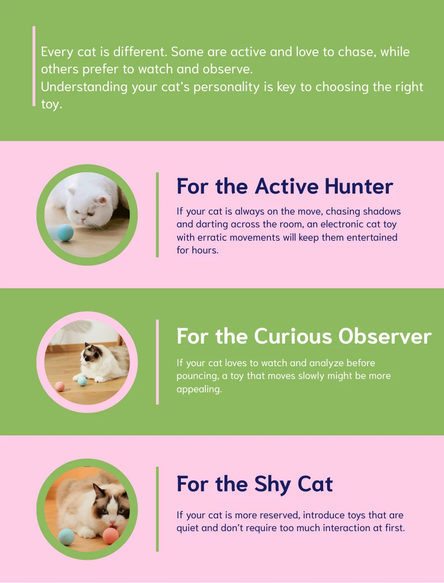 Tips How to Keep Your Smart Cat Happy and Engaged With Cat Toys