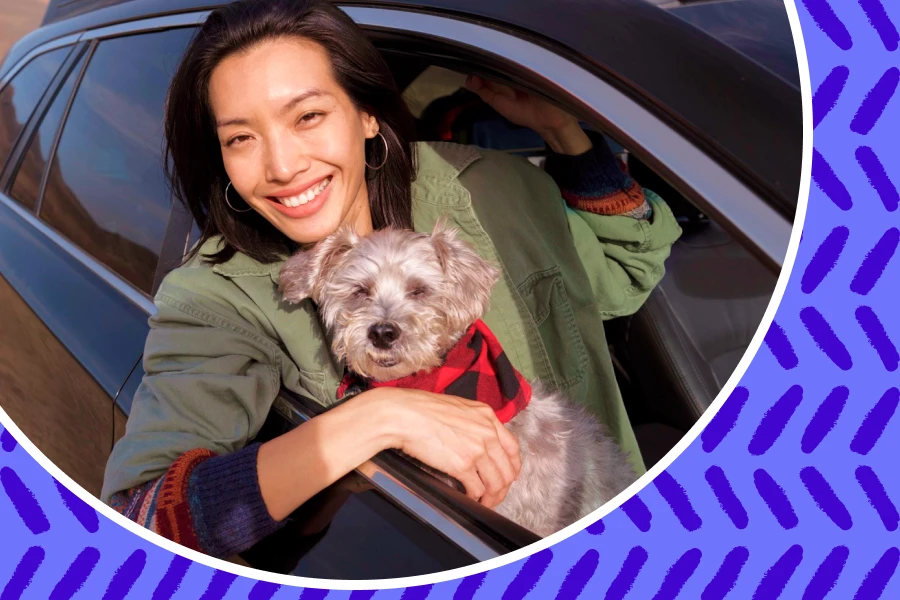Top-Rated Companion Essentials for Dogs and Cats