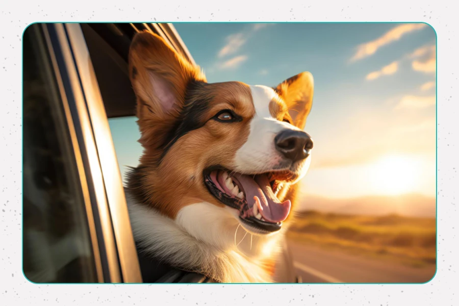 Travel in Style and Safety with Pet Travel Gear