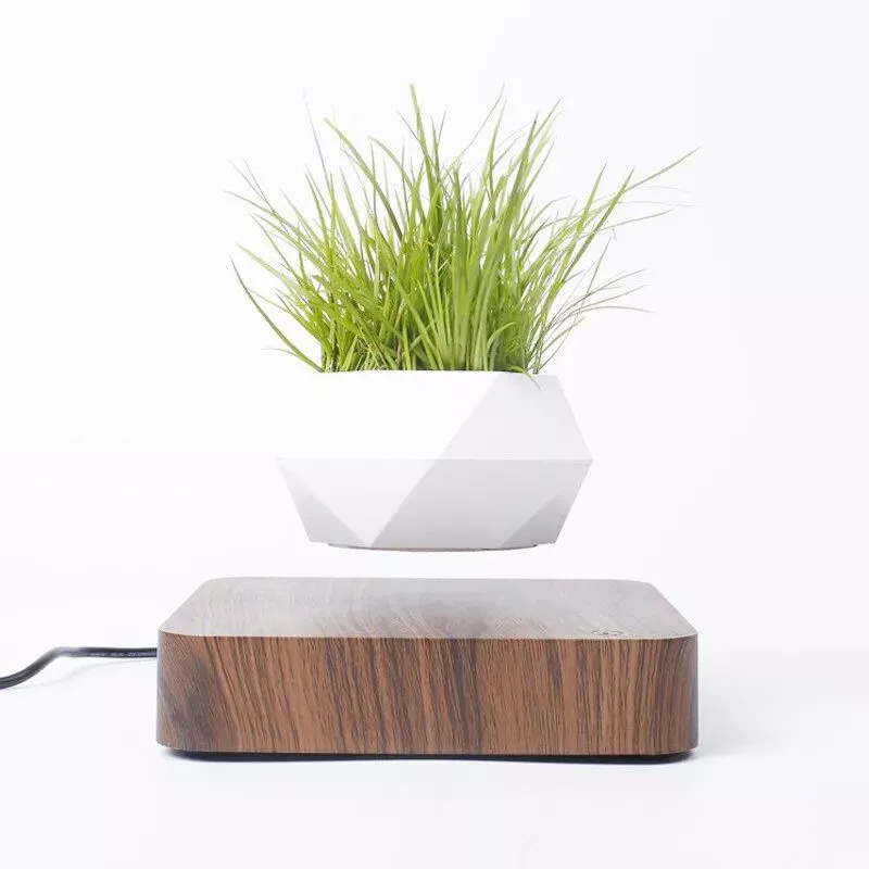 Enchanting Moon & Levitating Plant LED Light Enchanting Moon & Levitating Plant LED Light